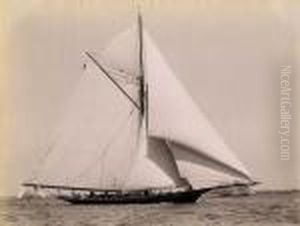 Yacht Racing by John Johnston