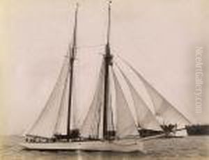 Racing Yachts by John Johnston