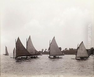Catboats