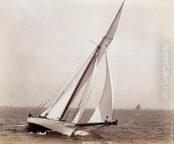 The Big Racing Cutters - view 1