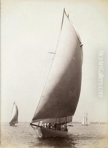 The 1893 America's Cup - view 1