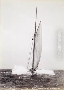 1890s America's Cup Yachts 1890s America's Cup Yachts
