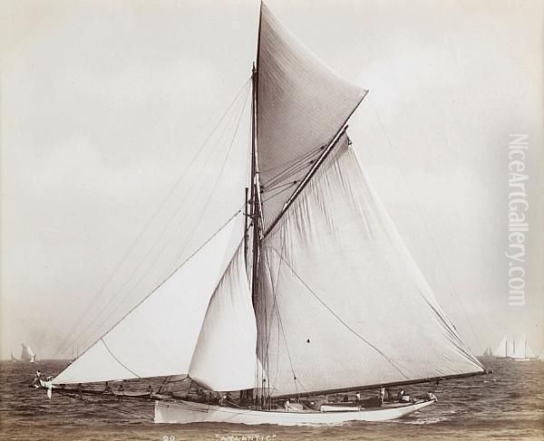 American Racing Cutters - view 1