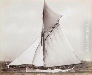 American Racing Cutters by John S. Johnston