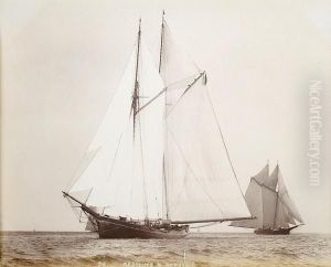 Racing And Pleasure Schooners Under Sail Racing And Pleasure Schooners Under Sail