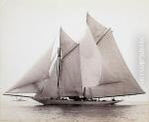 The Big Schooners The Big Schooners