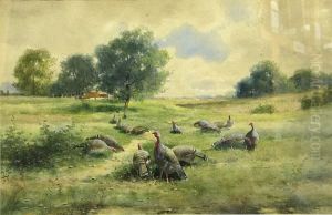 A Rafter Of Turkeys In A Field by Reuben Le Grand Johnston