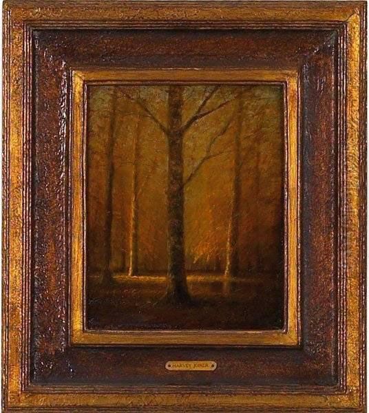 Forest Interior - view 1