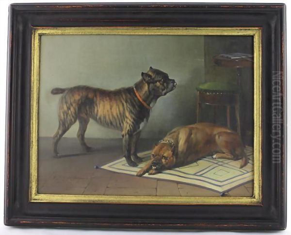 Zwei Boxerhunde In Einer Wohnung - view 1