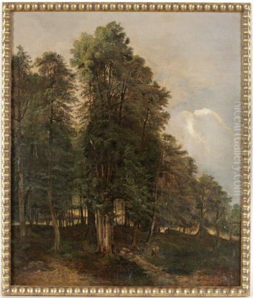 Vue Sur La Foret - view 1