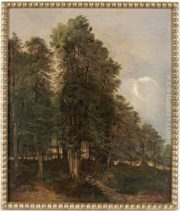 Vue Sur La Foret by Andre Jolivard