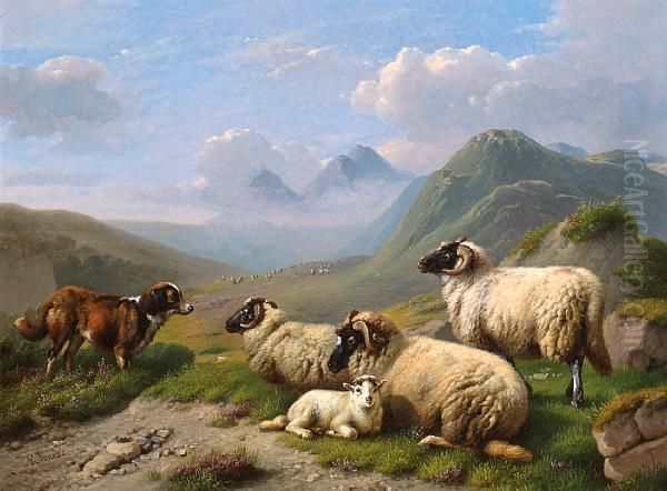 Guarding The Sheep - view 1