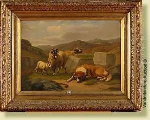 Chien De Berger Et Troupeau
