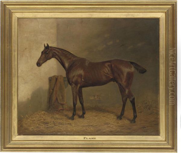 Flash, A Bay Thoroughbred In A Stable - view 1