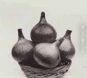 Onion Ailsa Craig; And Runner Bean by Charles Jones