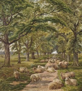 Sheep Resting On A Tree-lined Path