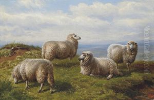 Sheep On The Hill by Charles Jones