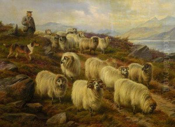 A Highland Shepherd - view 1
