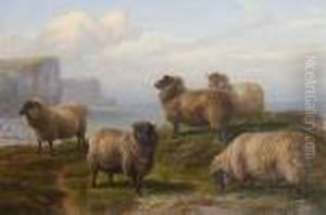 Sheep Grazing On A Cliff Top By The Sea by Charles Jones