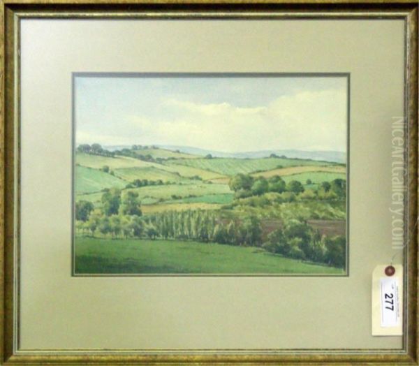 Farmland, Brede Valley, Sussex - view 1