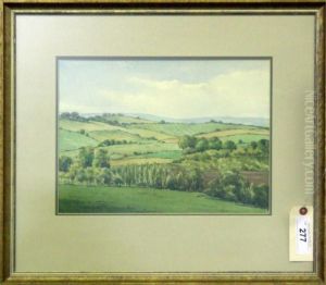 Farmland, Brede Valley, Sussex