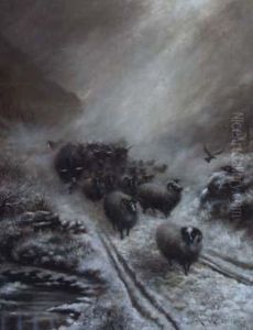 The Storm by Herbert Jones