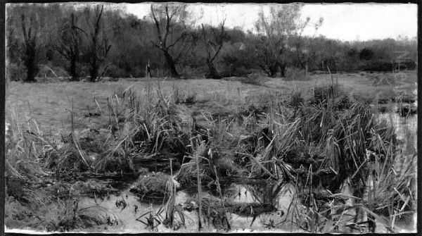 Autumn Landscape - view 1