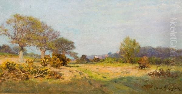 Dunwich Heath - view 1