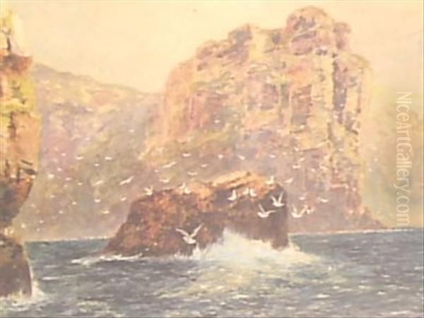 Marine - view 1