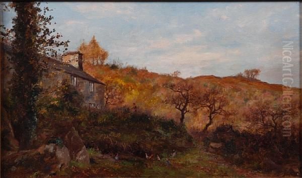 Sunlit Autumnal Landscape - view 1