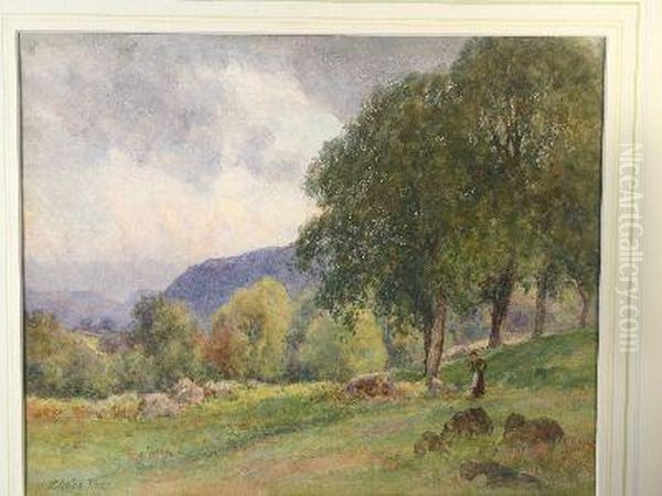 Conwy Valley Landscape With Lady On A Path By A Tree - view 1