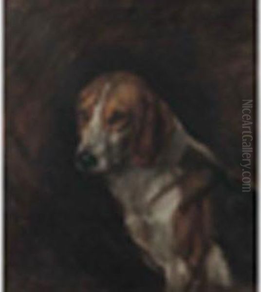 Study Of A Hound - view 1