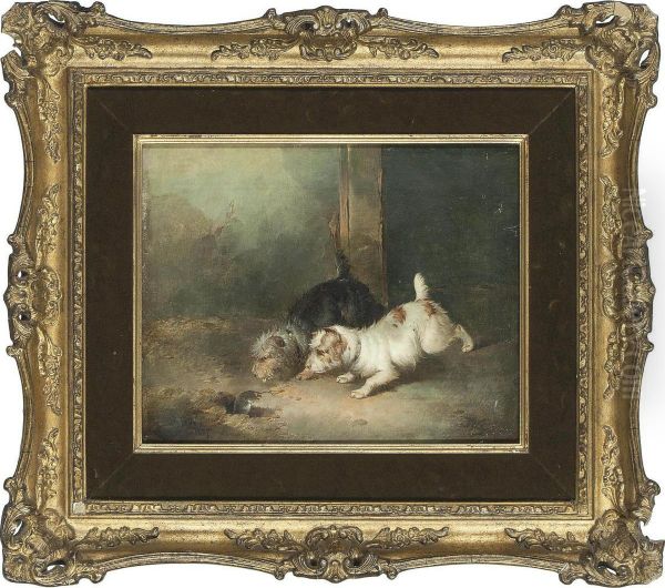 Terriers Ratting - view 1