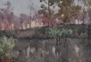 A Woodland Pool