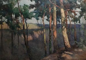 The Edge Of The Wood - Branksome Chine, Bournemouth by Reginald T. Jones