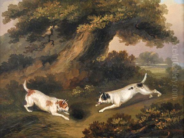 Terriers Rabbiting ; Foxes In A Wood Four - view 1