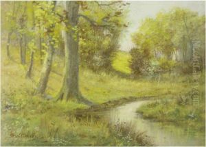 Wooded Landscape With Creek Framed by Seth C. Jones