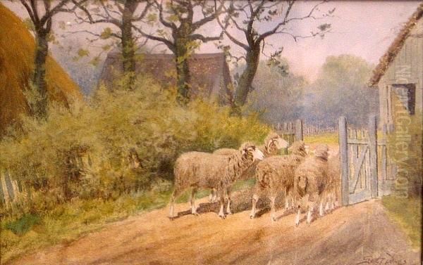 Sheep At The Gate - view 1