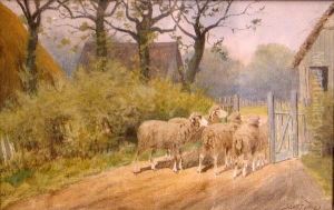Sheep At The Gate