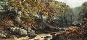 Where The Trout Lie - A Brook Near Riverdart