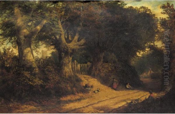 Resting On A Woodland Track - view 1