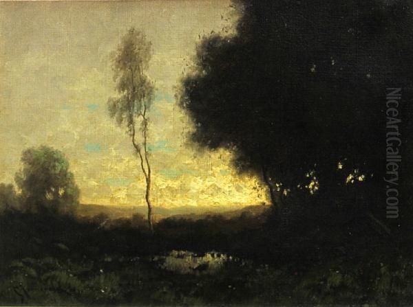Pond Among The Oaks - view 1