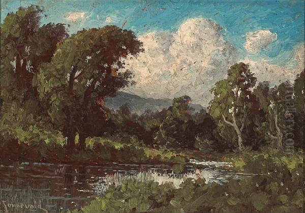 Placid Pond With Cumulus Clouds In The Distance - view 1