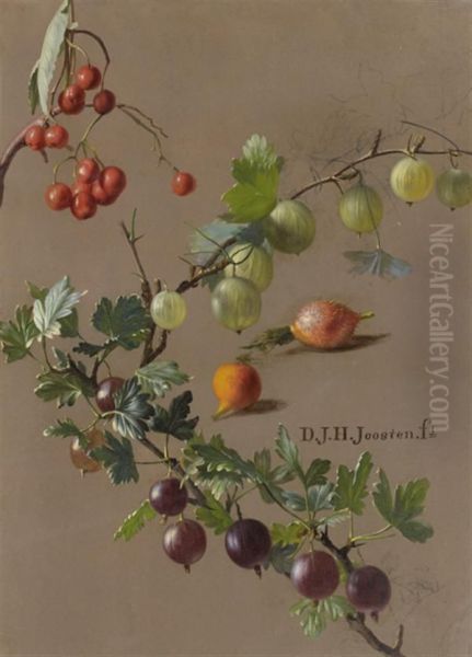 Jete De Groseilles Et De Baies Rouges - view 1