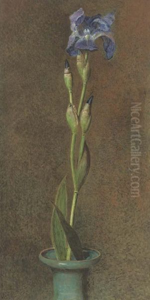 Purple Iris - view 1