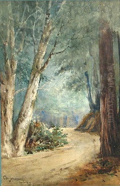 Path Through A Forest - view 1
