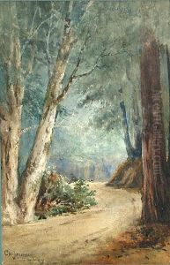 Path Through A Forest by Christian A. Jorgensen