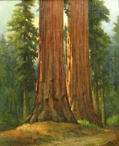 Giant Redwoods by Christian A. Jorgensen