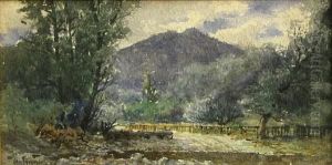 View Of Mt. Tamalpais by Christian A. Jorgensen