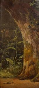 Un Chene Dans Un Sous-bois by Simon-Joseph-Alexandre-Clement Denis